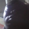 Akomolafe Olalekan profile photo