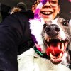 Noah Green profile photo