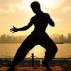 Wing Chun Icaa profile photo