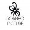 Borneo Picture profile photo