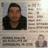 Morris Shalom profile photo