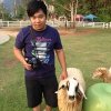 Tanapat Thongmaen Tanapat Thongmaen profile photo