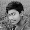 Shaibal Roy profile photo
