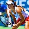 CiCi Bellis profile photo